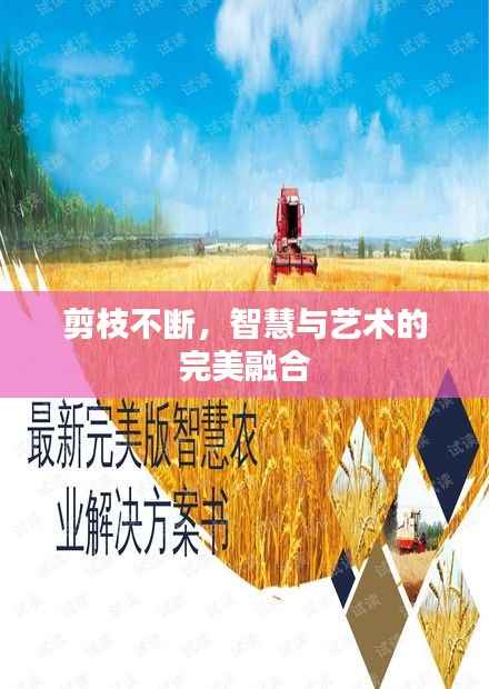 剪枝不断,智慧与艺术的完美融合