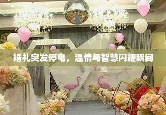 婚礼突发停电,温情与智慧闪耀瞬间