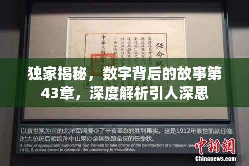 独家揭秘，数字背后的故事第43章，深度解析引人深思
