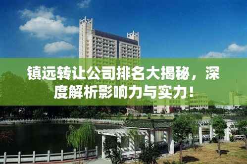 镇远转让公司排名大揭秘,深度解析影响力与实力!